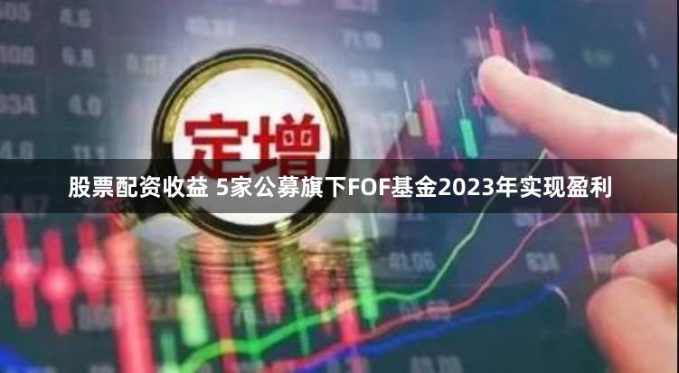 股票配资收益 5家公募旗下FOF基金2023年实现盈利