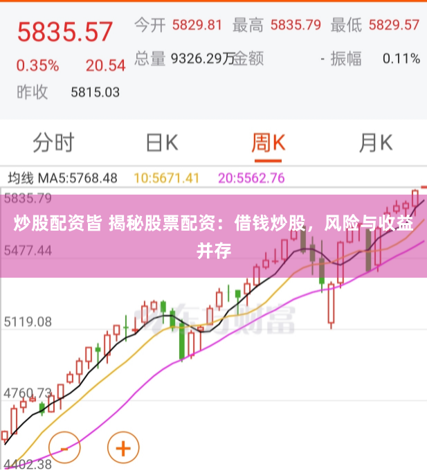 炒股配资皆 揭秘股票配资：借钱炒股，风险与收益并存