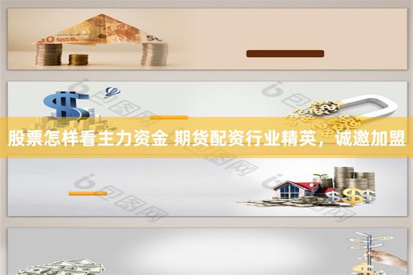 股票怎样看主力资金 期货配资行业精英，诚邀加盟