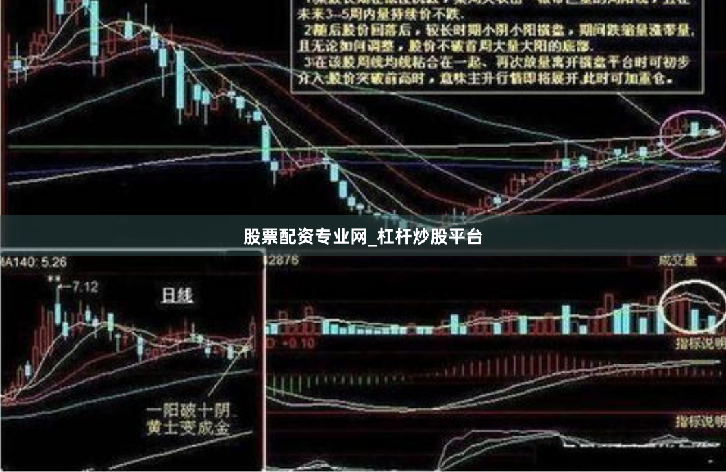 股票配资专业网_杠杆炒股平台