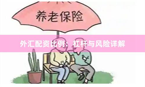 外汇配资比例：杠杆与风险详解